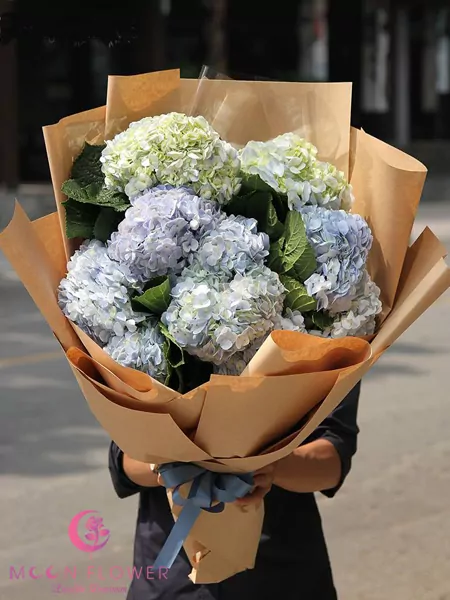 Bó hoa chúc mừng hoa cẩm tú cầu