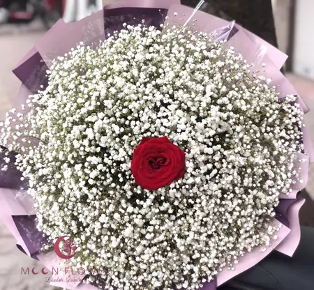 bo-hoa-baby-kem-hong-do
