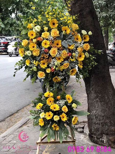 Lẵng hoa khai trương giá rẻ đồng tiền vàng