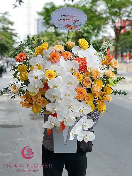 Bình hoa sinh nhật đẹp - Ấm áp vượng khí Bình hoa sinh nhật đẹp - Ấm áp vượng khí