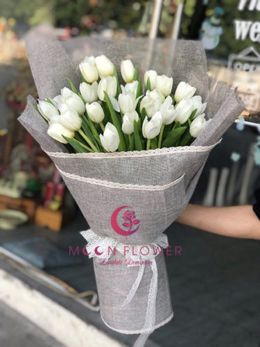 Bó hoa tulip trắng - Tinh Khôi Thuần Khiết