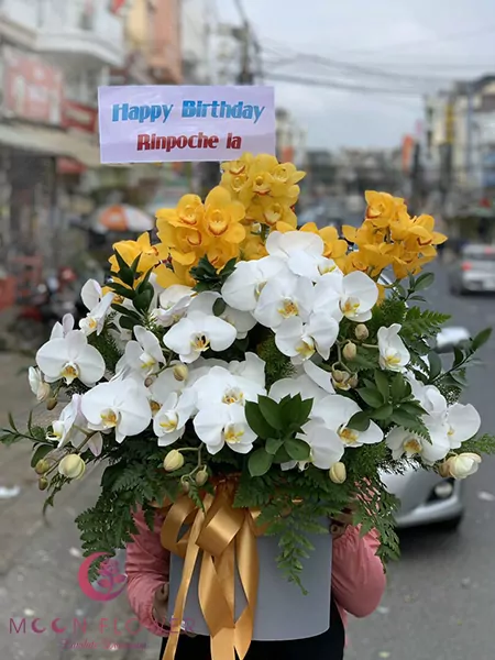 Giỏ hoa địa lan - Phú Quý
