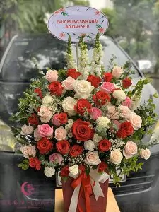 Đặt hoa 20/10 Hà Nội - Lời chúc tốt nhất