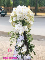 Hoa tang lễ - An Tịnh