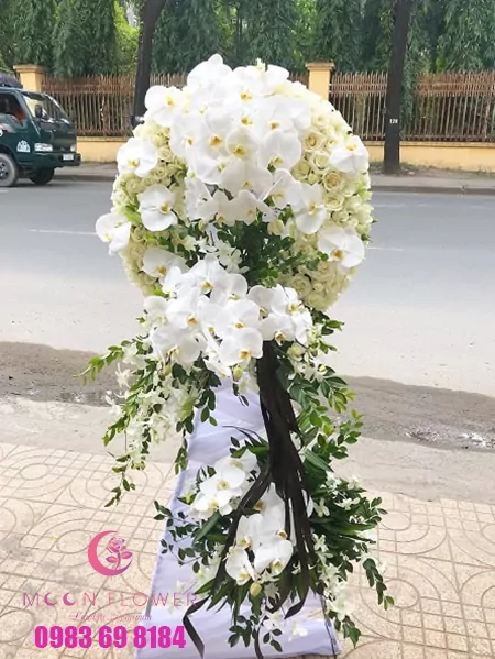 Hoa tang lễ - An Tịnh