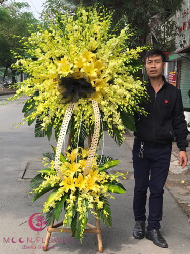 Kệ hoa lan vàng tại Hà Nội - Tôn Kính