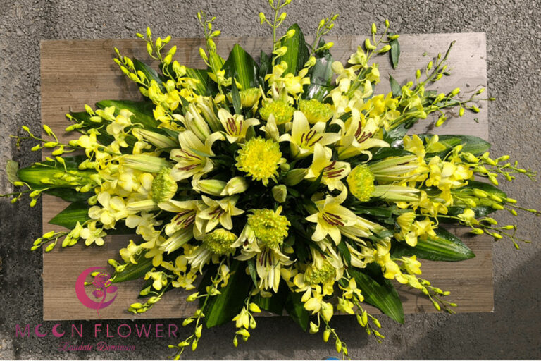 Hoa nắp quan tài MSP HQT-003