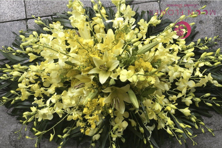 Hoa nắp quan tài MSP HQT-005