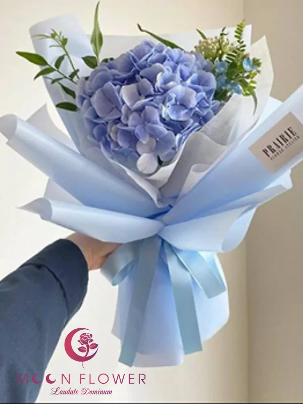 Bó hoa hội nghị - Sự Nỗ Lực