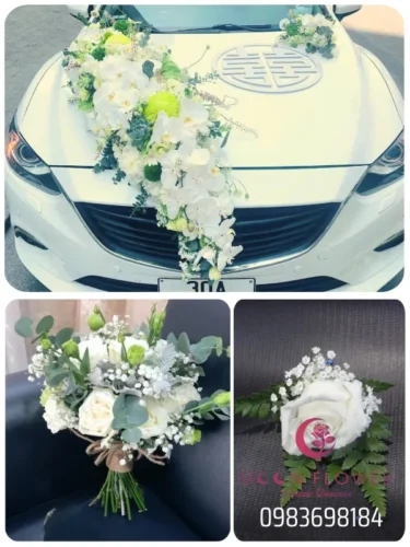 (SET29) Xe hoa cưới mầu trắng xanh lá - Sâu Đậm