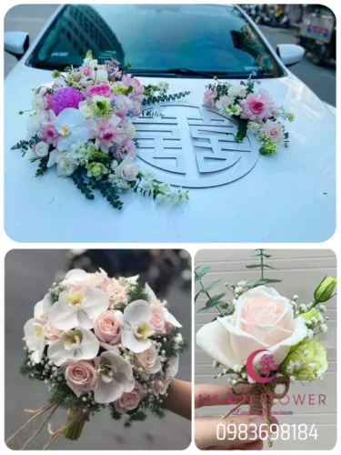 (SET35) Xe hoa cưới mầu hồng nhạt - Tinh Khôi