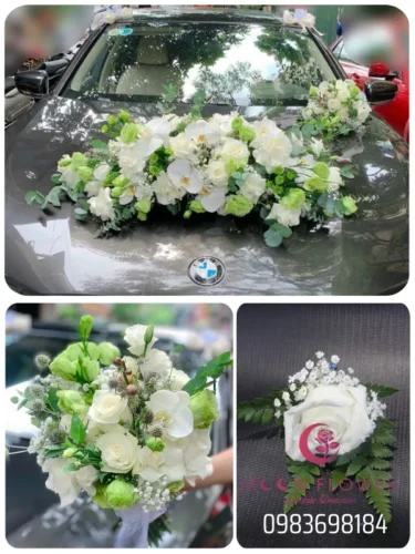 (SET41) Xe hoa cưới mầu trắng xanh - Chân Thành