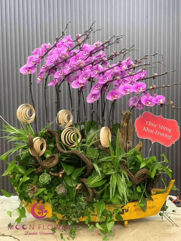 Thuyền hoa 15 cây tím