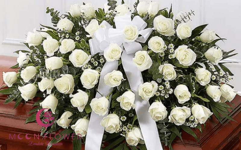 Hoa nắp quan tài màu trắng tinh khôi