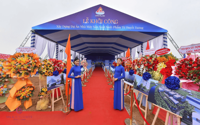 Lẵng hoa chúc mừng đẹp - món quà tinh tế và ý nghĩa