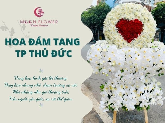 Ảnh đại diện bài viết Thủ Đức