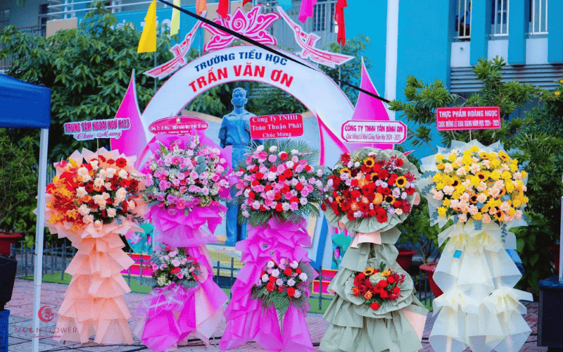 Lẵng hoa khai trường hoa đồng tiền giá rẻ