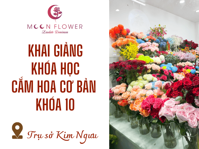 anh-dai-dien-khai-giang-khoa-hoc-cam-hoa