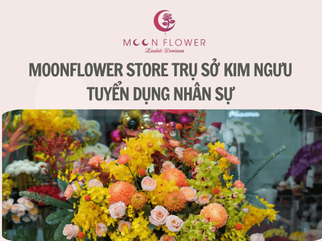 dai-dien-moonflower-store-kim-nguutuyen-dung-nhanh-su