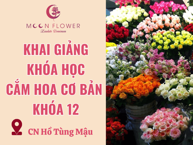 MoonFlower Store Hồ Tùng Mậu tuyển dụng học viên