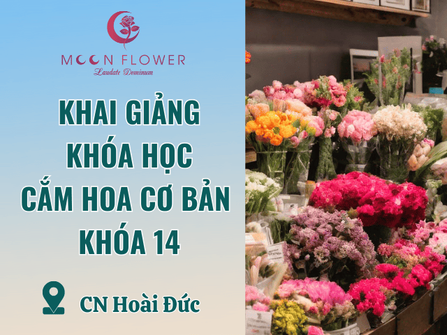 MoonFlower Store Hoài Đức tuyển dụng học viên