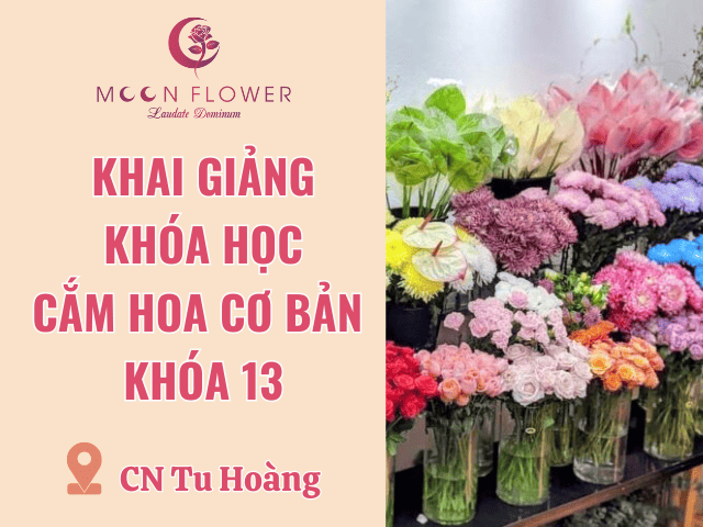 MoonFlower Store Tu Hoàng tuyển dụng học viên