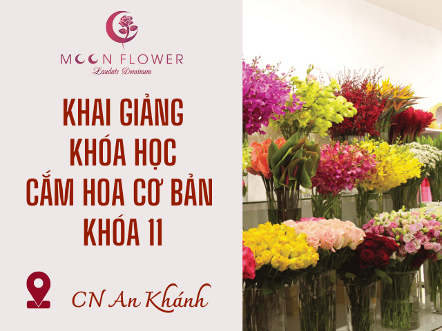 MoonFlower Store An Khánh tuyển dụng học viên