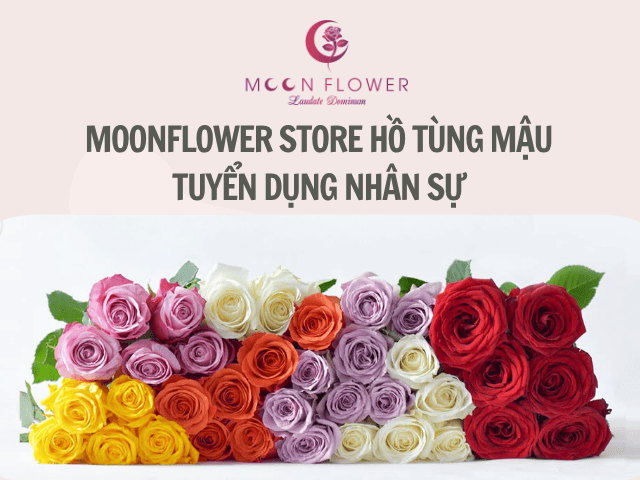 Ảnh đại điện MoonFlower Store Hồ Tùng Mậu tuyển dụng nhân sự