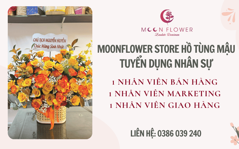 MoonFlower Store Hồ Tùng Mậu tuyển dụng nhân sự