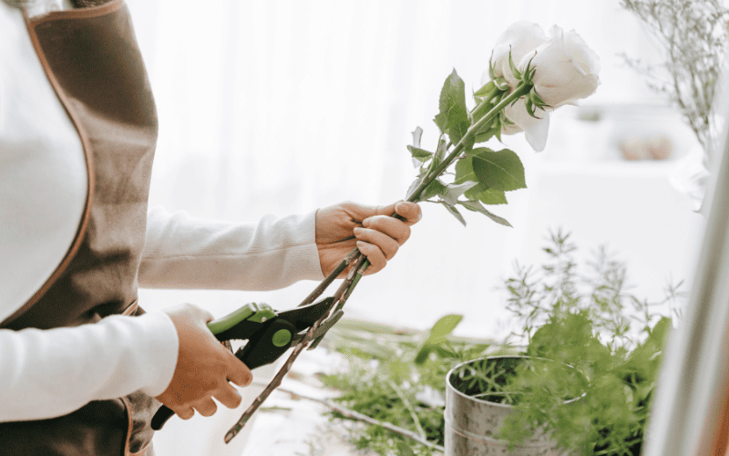 MoonFlower Store tuyển dụng các vị trí tại Tu Hoàng