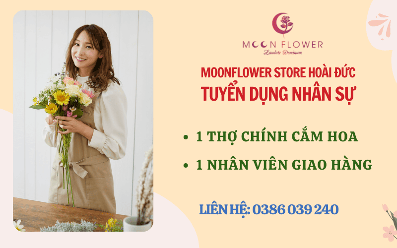 MoonFlower Store tuyển dụng nhân sự tại Hoài Đức