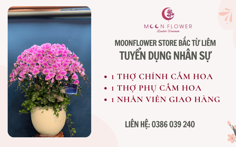 Tuyển dụng nhân sự tại chi nhánh Bắc Từ Liêm